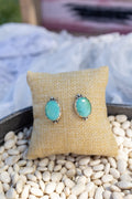 Blue Sonoran studs